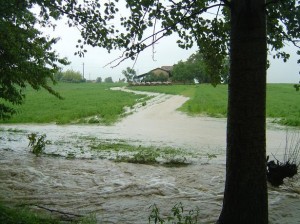PIOGGIA GIUGNO 2008 013